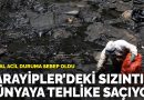 Karayiplerde Petrol Sızıntısı (2024)